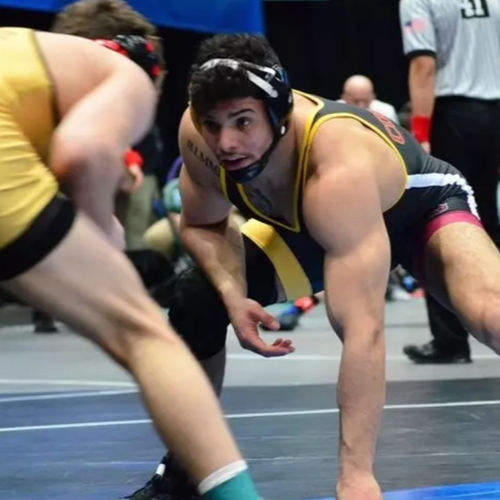 Load video: Presentation of Cluffy Advantage in Wrestling