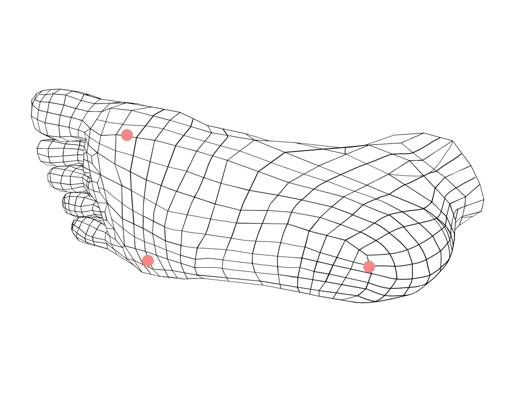Figure 2: Tripod of Stability